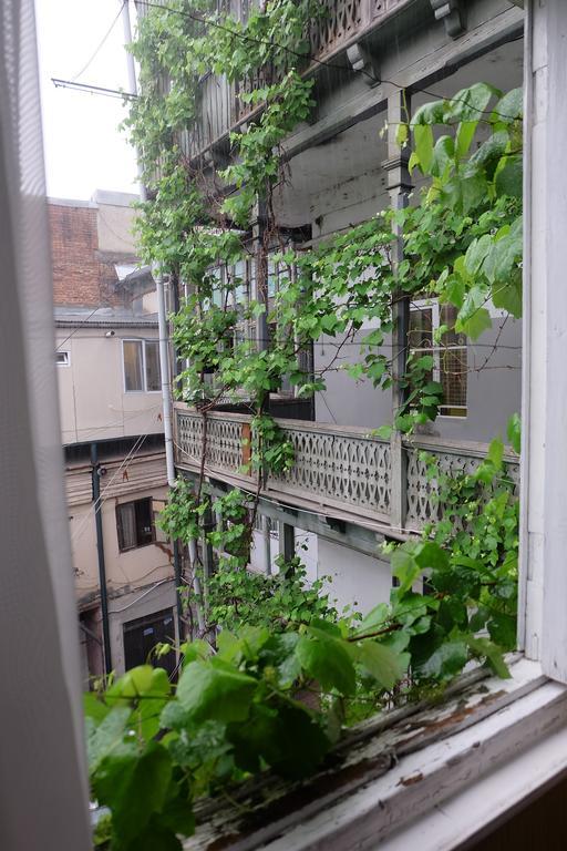 Guest House Tabukashvili 31 Tbilisi Exteriör bild